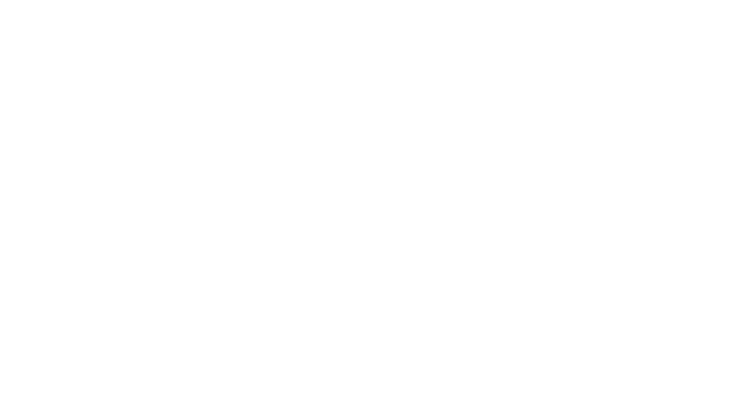 Vision REIT by EPIC_LogoFinal_White_Vertical